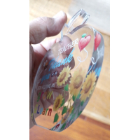 Appel acryl met tekst | Kado voor juf of meester | juffendag, afscheid, einde schooljaar.